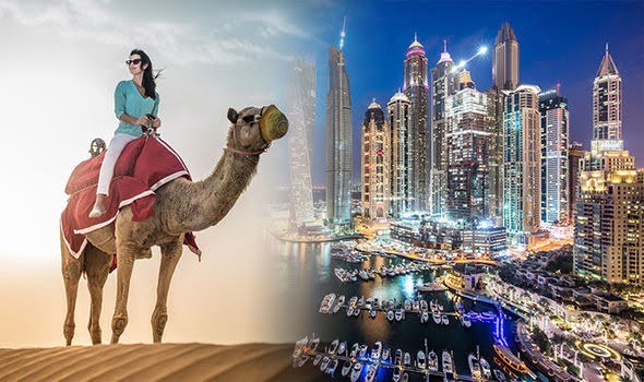 dubai city tour | one day tour